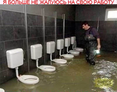 Я больше никогда не буду жаловаться на свою работу!