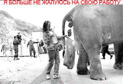 Я больше никогда не буду жаловаться на свою работу!
