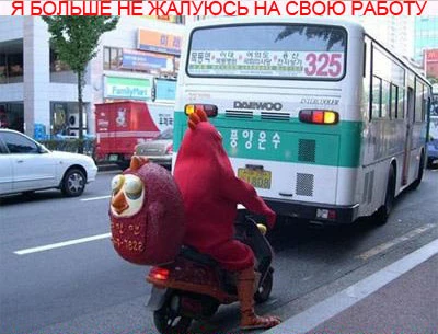 Я больше никогда не буду жаловаться на свою работу!