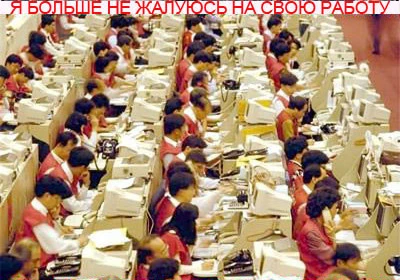 Я больше никогда не буду жаловаться на свою работу!