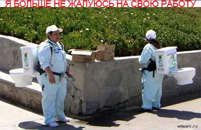 Я больше никогда не буду жаловаться на свою работу!