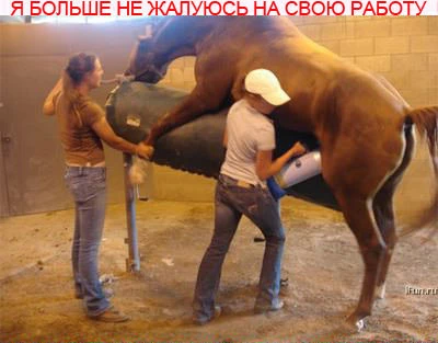 Я больше никогда не буду жаловаться на свою работу!