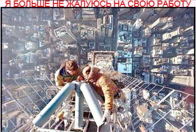 Я больше никогда не буду жаловаться на свою работу!