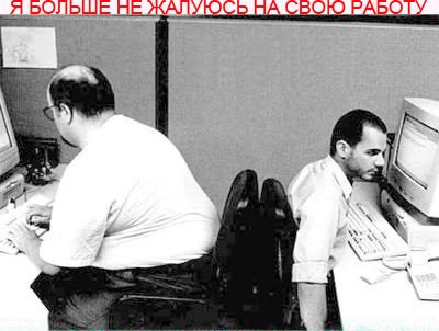 Я больше никогда не буду жаловаться на свою работу!