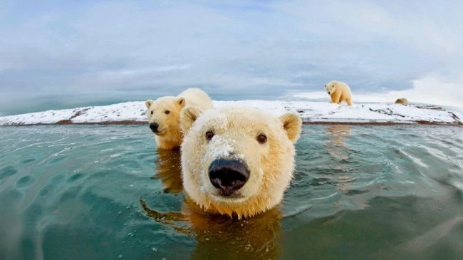 Ни капли фотошопа
