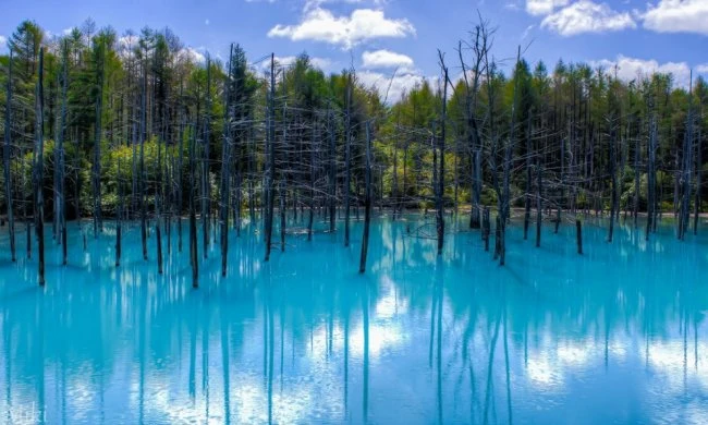 Ни капли фотошопа