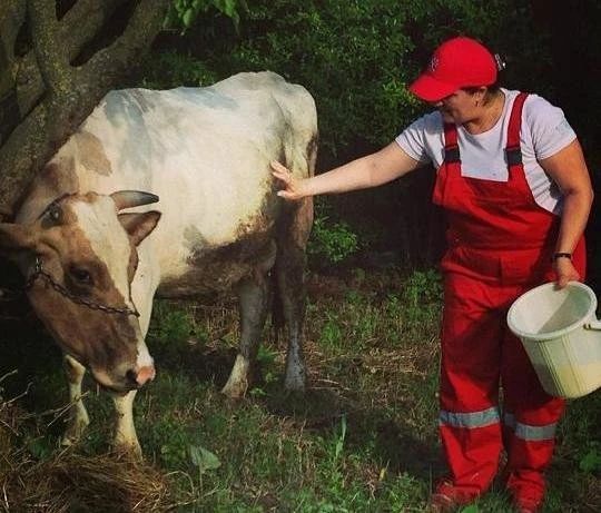 Эльза Сеидджахан подоила корову