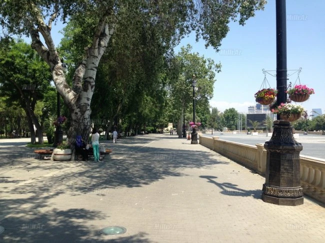Бакинский бульвар остался без выпускников