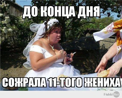 Самые абсурдные свадебные фотографии