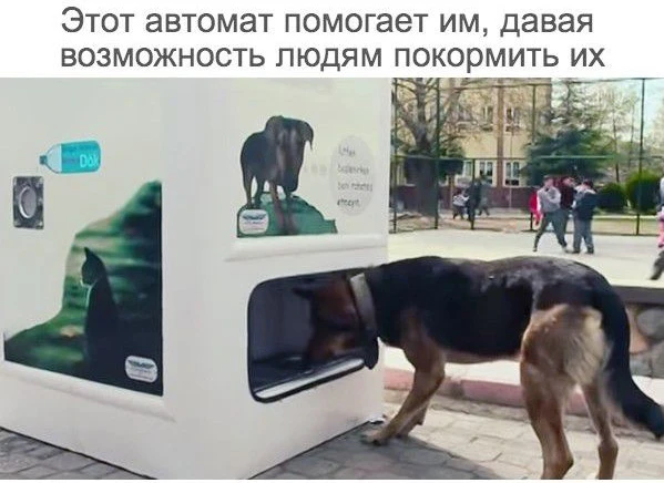 Интересный автомат в Турции