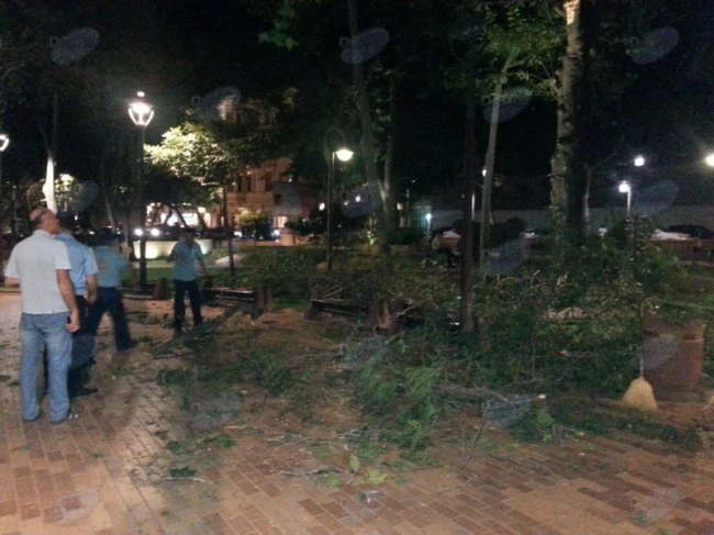 В центре Баку дерево чуть не покалечило людей