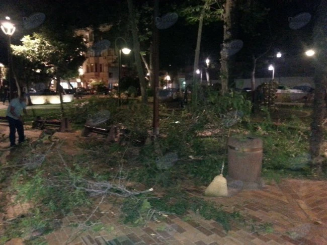 В центре Баку дерево чуть не покалечило людей