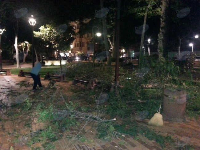 В центре Баку дерево чуть не покалечило людей