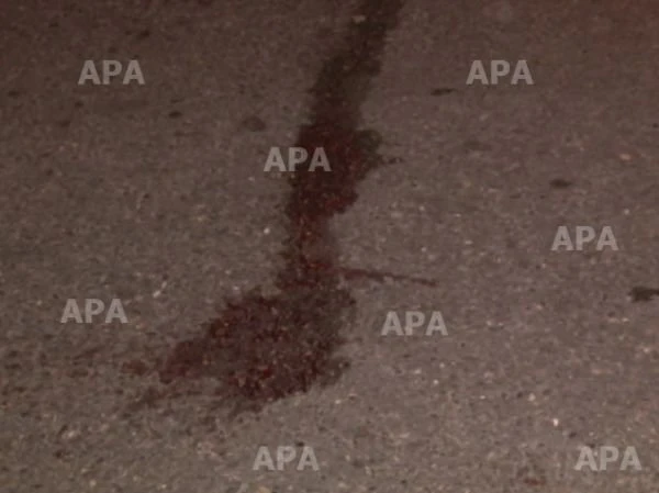 В Баку автомобиль сбил бездомного