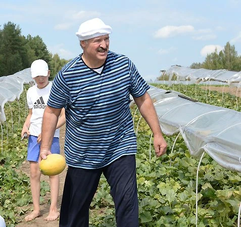 Лукашенко собрал урожай арбузов