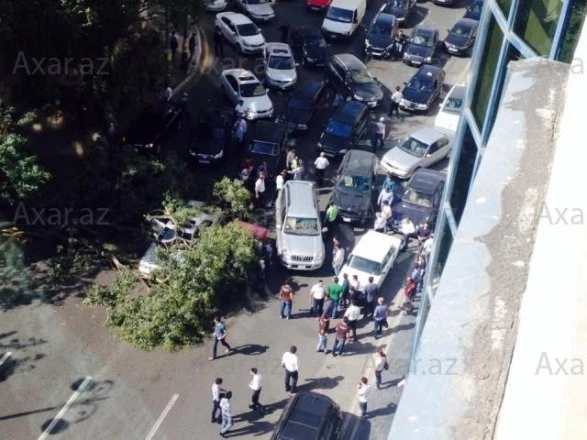 В центре Баку большое дерево упало на автомобили