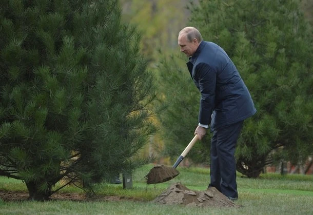 Обама с Путиным в Пекине посадили сосны