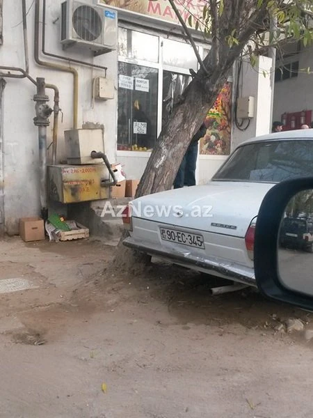 В центре Баку вновь вырубают деревья