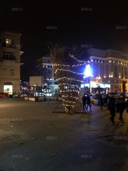Необычная новогодняя елка в Баку