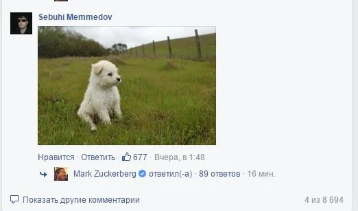 Марк Цукерберг прокомментировал пост азербайджанца в Facebook-e