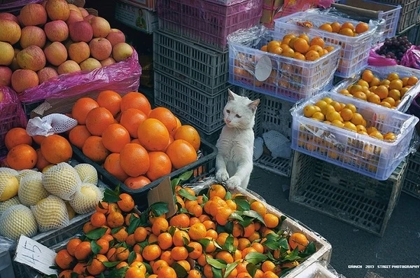 Уникальные снимки фотографа-самоучки 