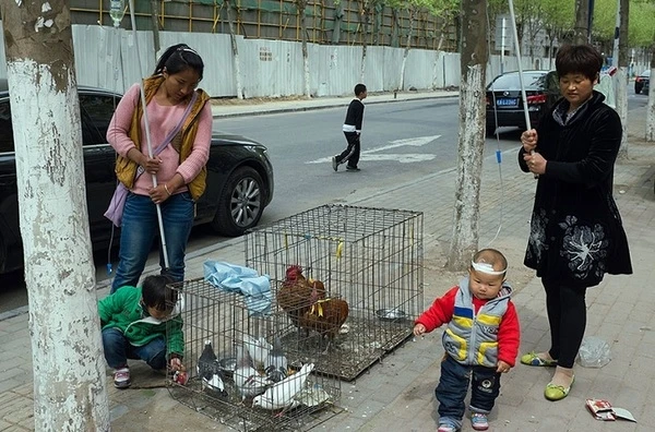 Уникальные снимки фотографа-самоучки 