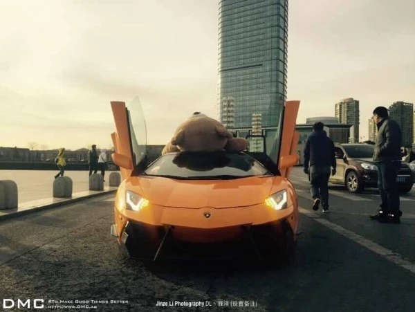 Кому подарили Lamborghini с плюшевым медведем на крыше ?