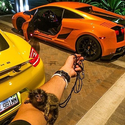 Розовые Bentley и частные самолеты: как живет 