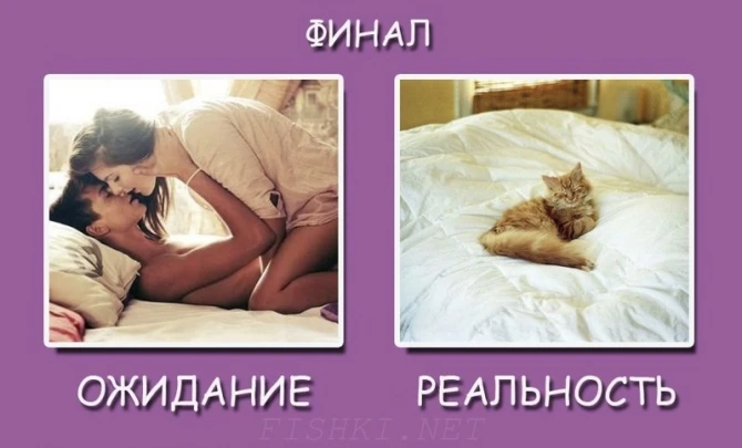 8 марта: ожидание и реальность