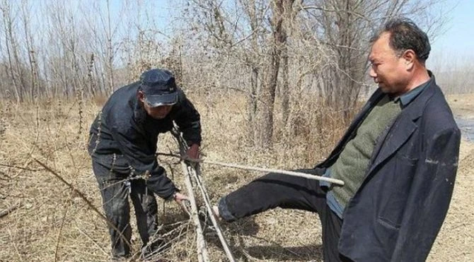 Два друга-инвалида посадили 10 тысяч деревьев