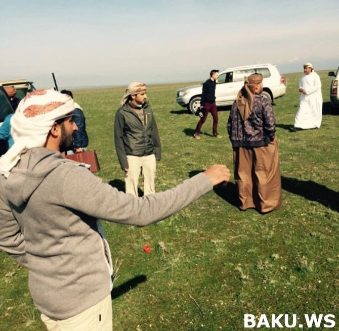 Незаконная охота арабских шейхов в Азербайджане (видео)