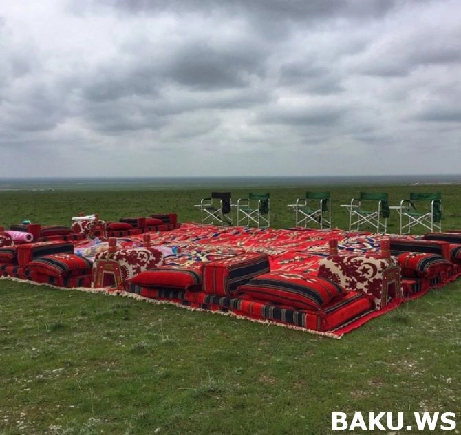 Незаконная охота арабских шейхов в Азербайджане (видео)