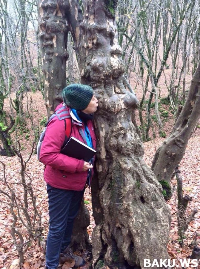 Эксклюзив от мэтра парфюмерии Марии Кандиды Джентиле - аромат «Lankaran forest»