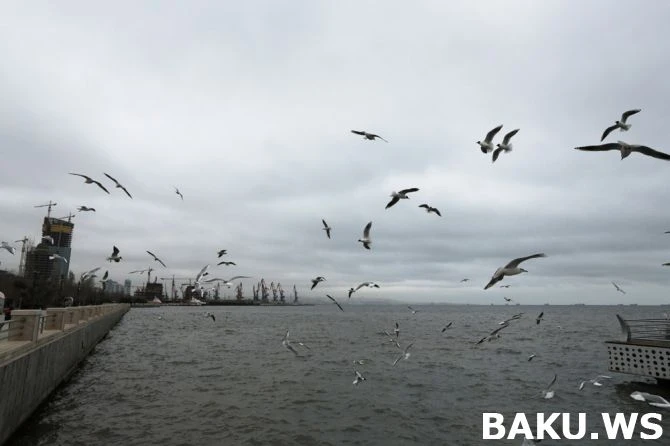 Российский фотограф: 