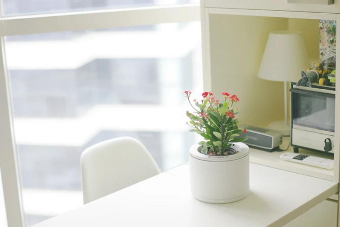 Самый умный горшок Planty с системой Wi-Fi (видео)