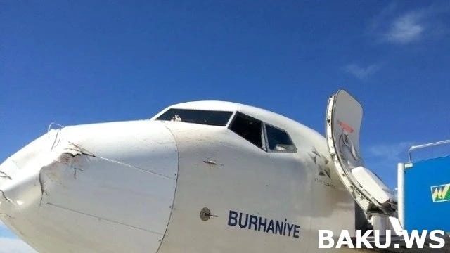 Самолет турецких авиалиний столкнулся со стаей птиц