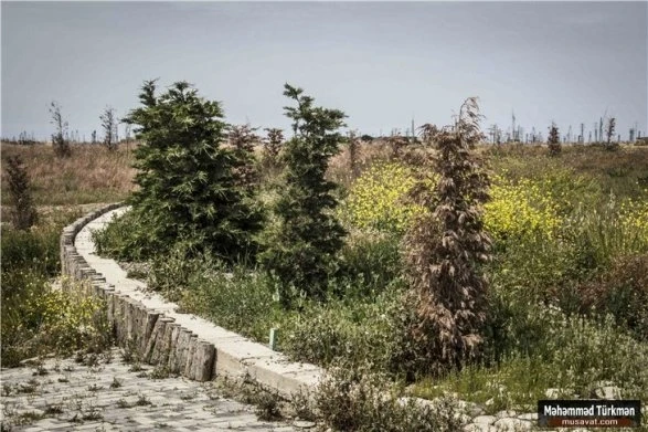 Заброшенный парк Ecoland в поселке Рамана