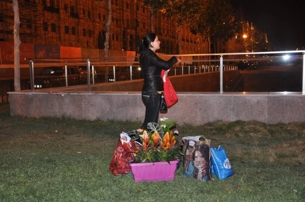 Остатки роскоши или чем окончился Праздник цветов в Баку (видео)