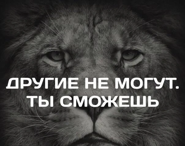 Мотивация на весь день