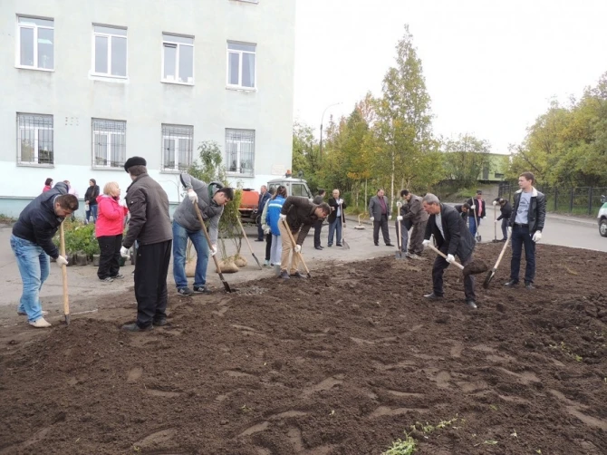 Азербайджанцы приняли участие в акции «Зеленый рекорд» в Мурманске