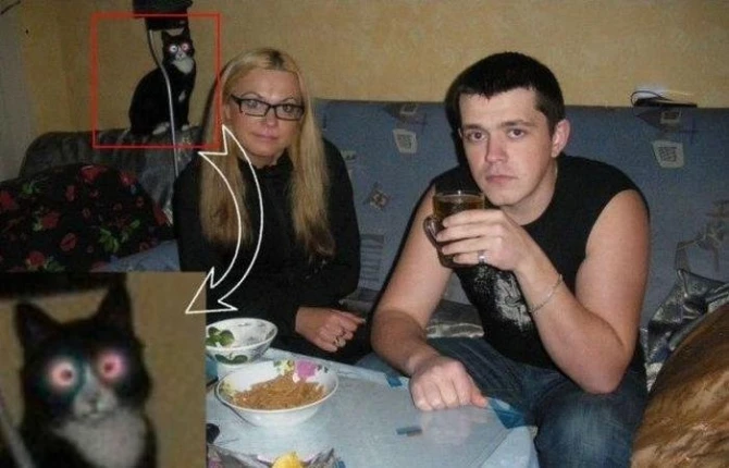 Фото из Соцсетей, которые сломают ваш мозг