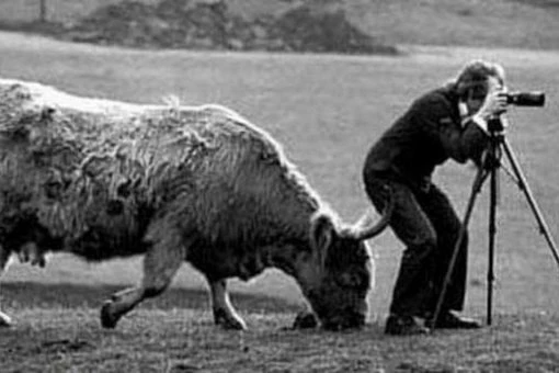 İnsanı gülməyə məcbur edən ən bacaraqsız fotoqraflar (FOTO)