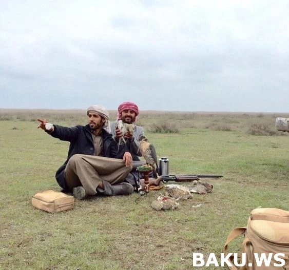 Охотничьи приключения арабских шейхов в Азербайджане продолжаются (видео)
