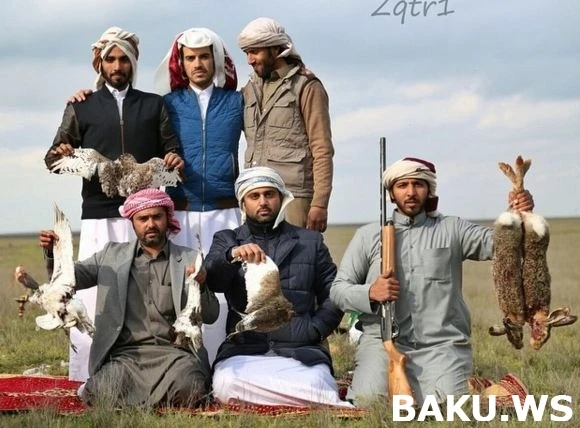 Охотничьи приключения арабских шейхов в Азербайджане продолжаются (видео)