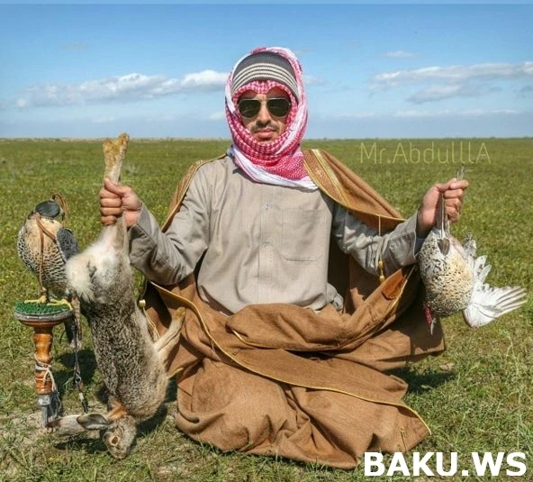 Охотничьи приключения арабских шейхов в Азербайджане продолжаются (видео)