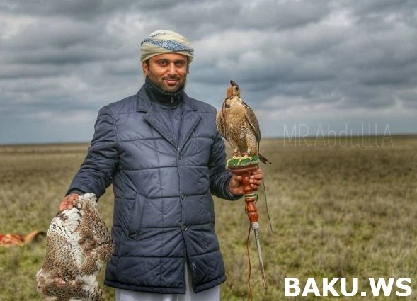 Охотничьи приключения арабских шейхов в Азербайджане продолжаются (видео)