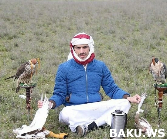 Охотничьи приключения арабских шейхов в Азербайджане продолжаются (видео)