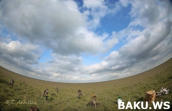 Охотничьи приключения арабских шейхов в Азербайджане продолжаются (видео)