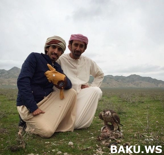 Арабские шейхи продолжают хвастаться охотой на птиц в Азербайджане