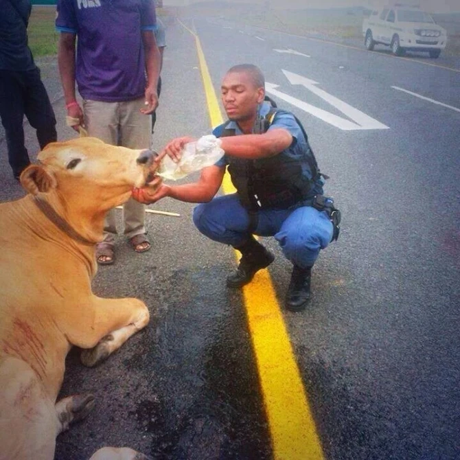 Dünyanın ən pozitiv polisləri (FOTO)
